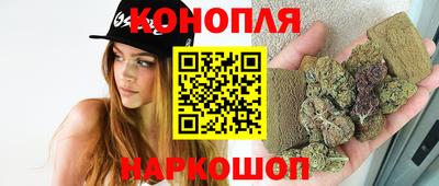 прущие грибы Гусь-Хрустальный