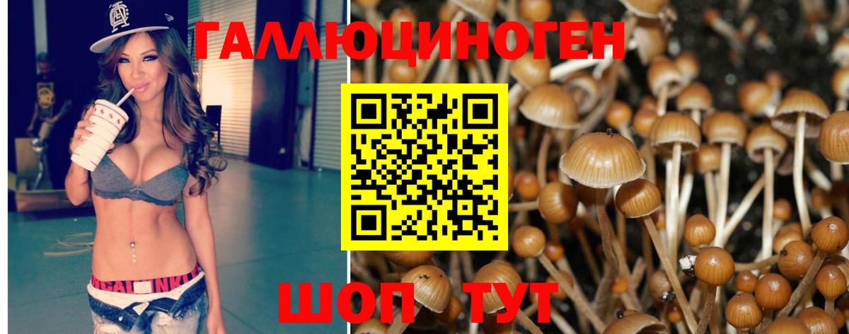 Галлюциногенные грибы Cubensis Комсомольск-на-Амуре