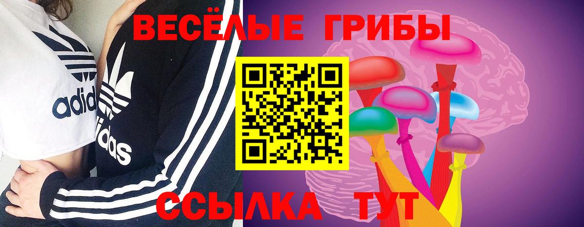 продажа наркотиков  Псилоцибиновые грибы Magic Shrooms  Вход с VPN  Комсомольск-на-Амуре 